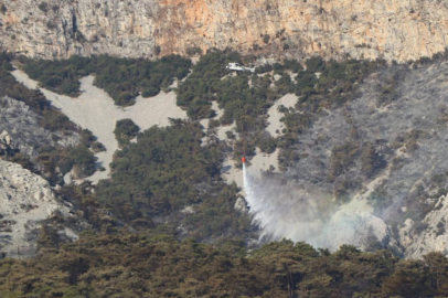 Bilecik'teki orman yangını kontrol altına alındı