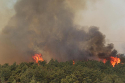 Hatay'daki orman yangını kontrol altına alındı
