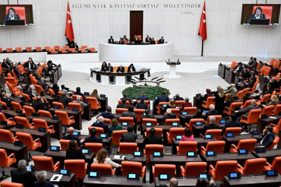 İklim Kanunu Teklifi, TBMM Genel Kurulunda