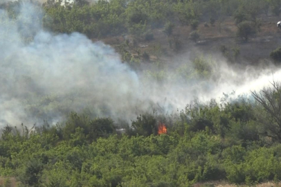 Kırklareli’nde ağaçlık alanda yangın: 150 dekar alan zarar gördü