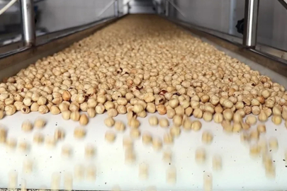 Türkiye fındık ihracatından 10 ayda yaklaşık 2,3 milyar dolar gelir sağladı