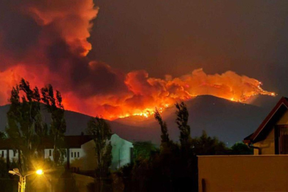Almanya'da orman yangınında 600 hektarlık alan kül oldu