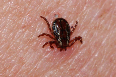 Bolu'da KKKA hastalığı tedavisi gören kişi hayatını kaybetti