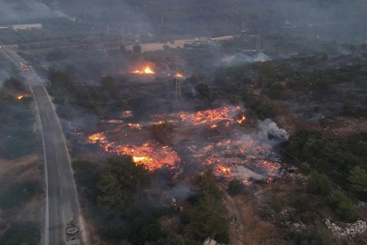 Çeşme'deki yangının verdiği zarar gün ağarınca ortaya çıktı! Ciğerlerimiz işte böyle yanıyor...