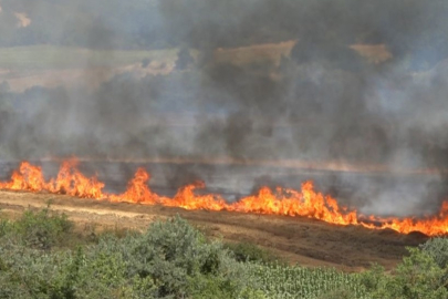 Kırklareli’nde yangın: 500 dekar tarım arazisi ve ağaçlık alan zarar gördü