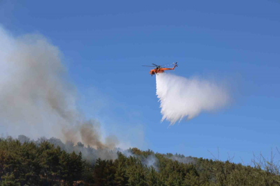 Muğla’daki orman yangını kontrol altına alındı