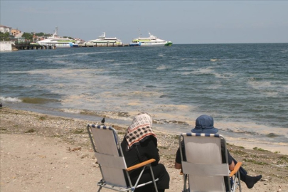 Müsilaja rağmen şaşırtan açıklama: Bursa plajları tertemiz çıktı!