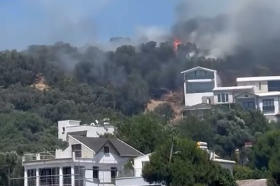 Bursa'da zeytinlikteki yangın söndürüldü