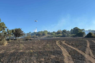 Çanakkale’de tarım arazisinde çıkan yangın kontrol altına alındı