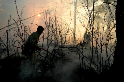 İzmir'de günün ilk ışıklarıyla birlikte yangına müdahale devam ediyor