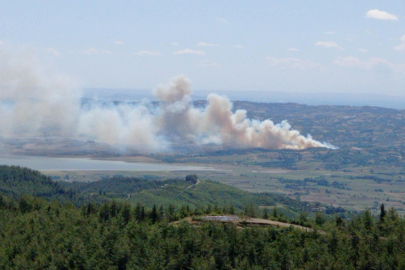 Kahramanmaraş’ta orman yangını