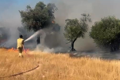 Muğla Milas Pınarcık ve Demirciler yangını kontrol altına alındı