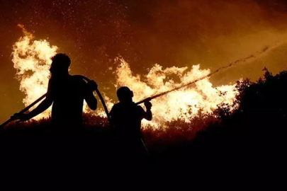 'Orman yangınlarını PKK'ya bağlı bir grup çıkardı" iddiasına DMM'den yanıt!