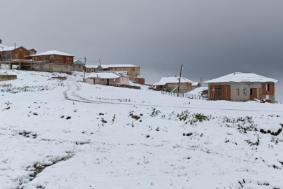 Rize ve Trabzon'un yüksek kesimlerine temmuz karı