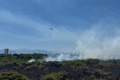 Antalya ve Çanakkale'deki yangınlar kontrol altına alındı