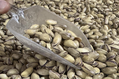 Antep fıstığı ihracatı yılın ilk yarısında arttı