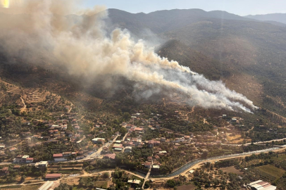 Aydın Bozdoğan'daki orman yangını kontrol altına alındı