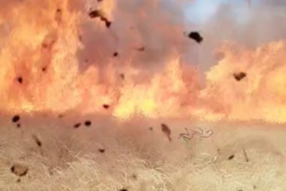 Burdur'da çıkan arazi yangını köylülerin imece usulü çalışmasıyla söndürüldü