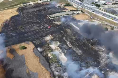 İstanbul Arnavutköy'de tarla yangını