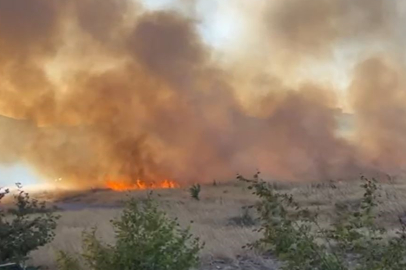 İstanbul Beylikdüzü’nde otluk alanda yangın
