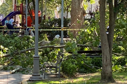 Kocaeli'de çınar ağacının kırılan dalı üzerine düşen kişi hayatını kaybetti