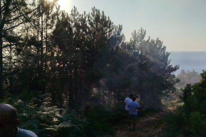 Zonguldak’ta çıkan yangında 7 dönümlük karaçam ormanı zarar gördü