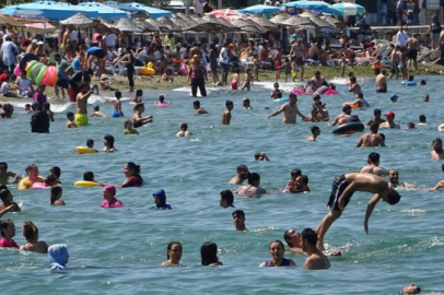 Analiz yapıldı: Bursa sahillerinden sevindiren haber geldi!