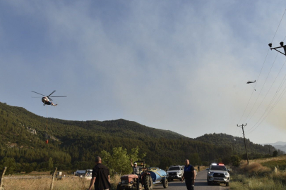 Balıkesir'deki orman yangını kontrol altına alındı