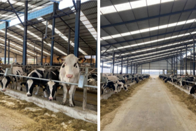 Bursa'da 47 milyon TL'lik yatırım iptal! Gerekçesi açıklandı