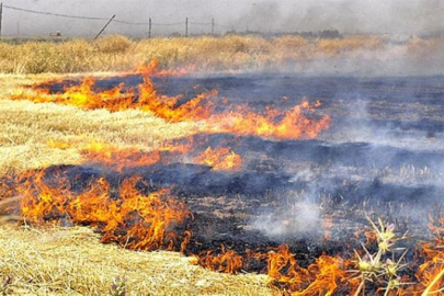 Bursa'da anız yakanlara uyarı! "Toprağınızı yok ediyorsunuz"