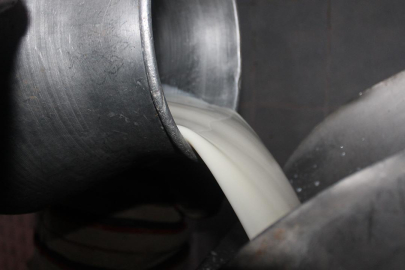 Haksız fiyatlandırma yapan süt şirketlerine 58,3 milyon lira ceza