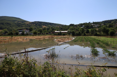 Samsun Bafra’da su kanalı taştı, mahsuller sular altında