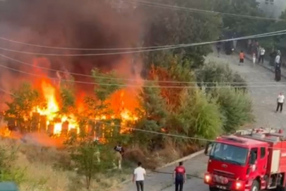 Tokat’ta arı kovanları küle döndü