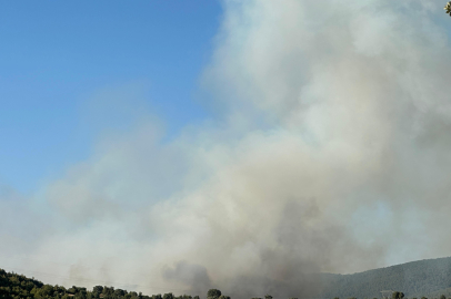 Uşak’ta iki ayrı noktada yangın