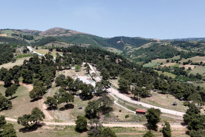 Başkan Ercan Özel: Gönül rahatlığıyla Kozdere Çamlığı'nda piknik yapılabilir