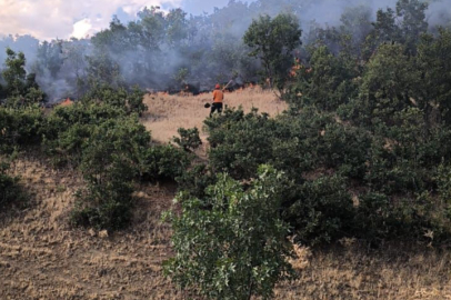 Bingöl’deki orman yangını kontrol altında