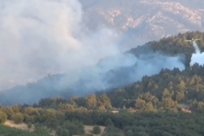 Çanakkale Bayramiç'te orman yangını
