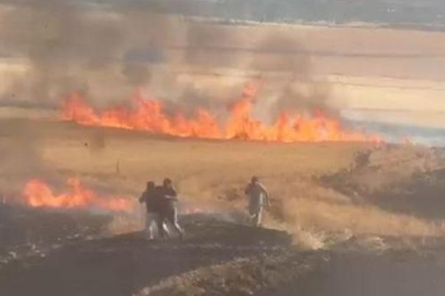 Çorum'da buğday tarlasındaki yangında 30 dönüm alan zarar gördü
