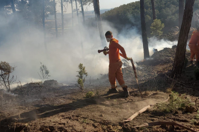 Kütahya’da orman yangını