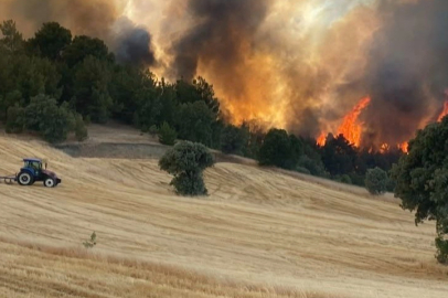 Kütahya-Uşak sınırındaki orman yangını kontrol altına alındı