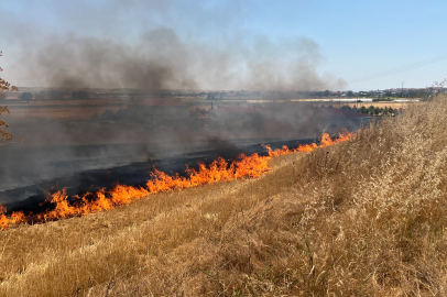 Tekirdağ'da çıkan tarla yangını söndürüldü