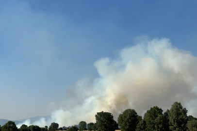 Uşak’ta tarım arazisinde çıkan yangın ormanlık alana sıçradı