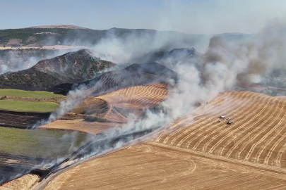 Amasya'da orman yangını: 50 dönüm orman, 150 dönüm tarım arazisi zarar gördü