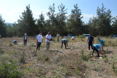 Bursa'da hükümlüler, 15 Temmuz Şehitleri anısına fidanları toprakla buluşturdu