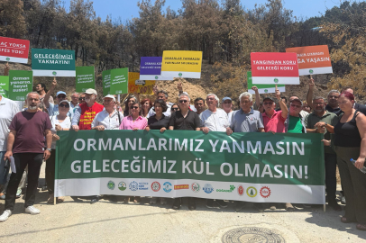 Bursa’da STK’lardan ortak çağrı: Yangınlara yönelik yasal önemler alınmalı