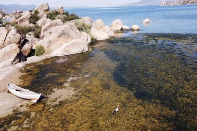 Suları çekilmeye başlayan Bafa Gölü'nde kirlilik yaşanıyor