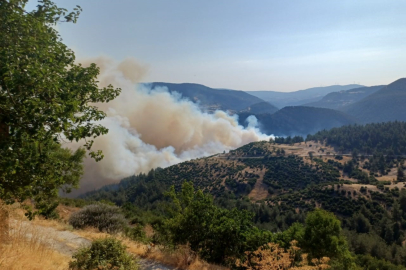 Bursa-Balıkesir sınırında orman yangını çıktı