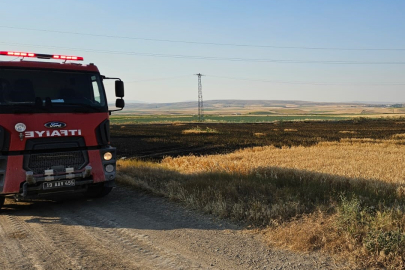 Çorum'da 15 dönüm buğday ekili tarla alevlere teslim oldu