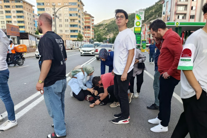 Gümüşhane'de karşıya geçen yaşlı kadına kamyonet çarptı