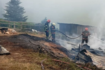 Sakarya'da yaylada yangın paniği: 2 ev ve 1 ahır küle döndü